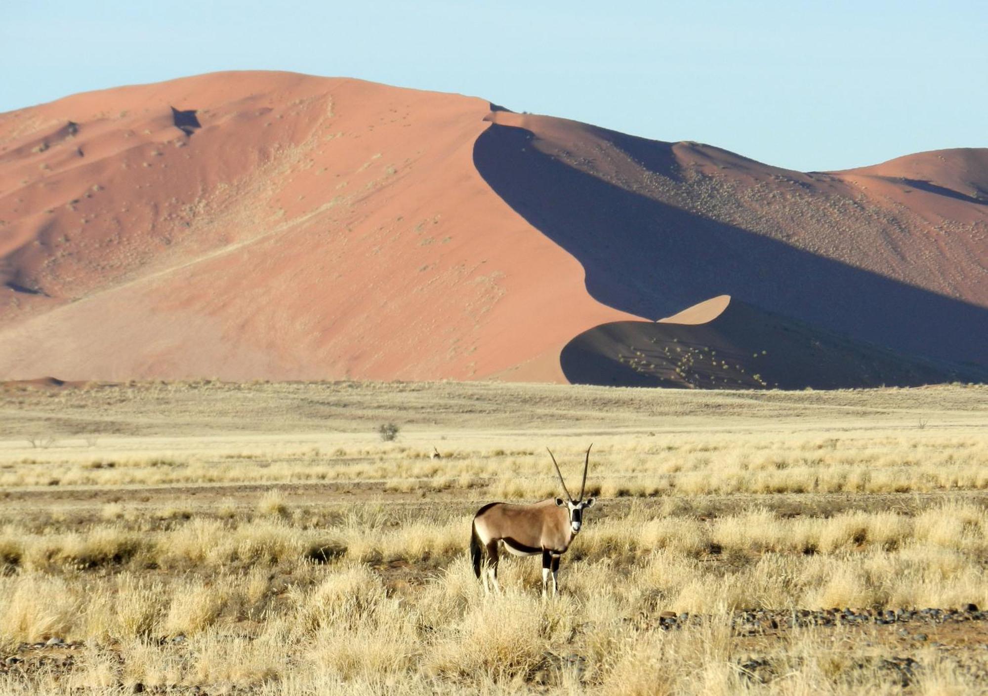 Sossusvlei Lodge Sesriem Εξωτερικό φωτογραφία